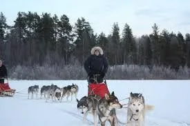 Go Ragunda  - image n°72 - UniversalBooking