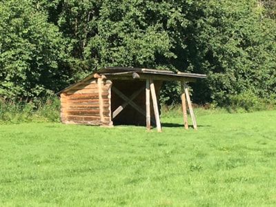 Pitch tent