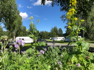 Pitch camper