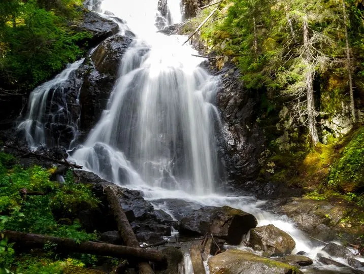 Go Ragunda  - image n°54 - UniversalBooking