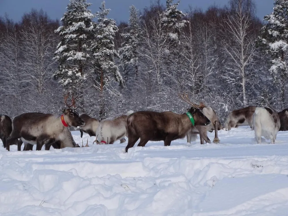 Go Ragunda  - image n°56 - UniversalBooking