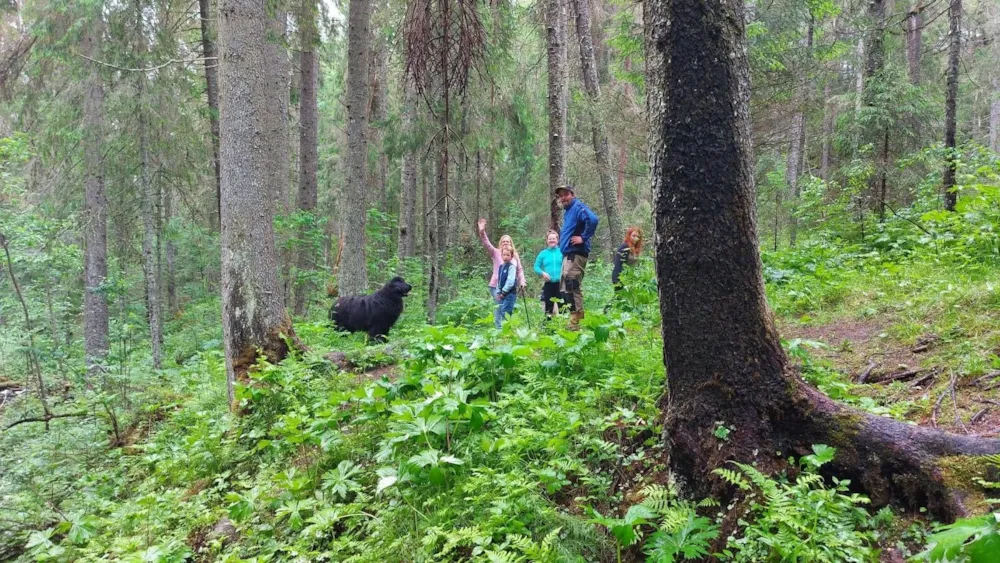 Go Ragunda  - image n°63 - UniversalBooking