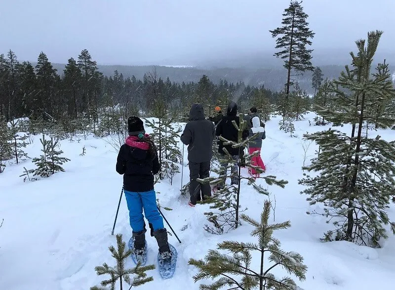 Go Ragunda  - image n°64 - UniversalBooking