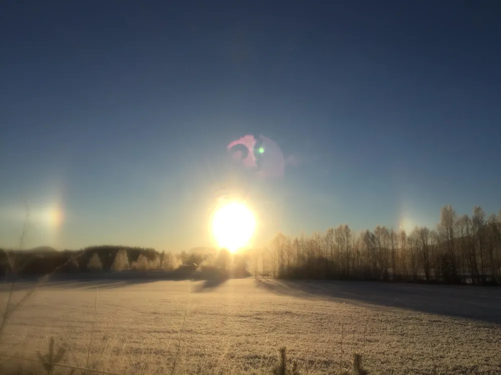 Go Ragunda  - image n°65 - UniversalBooking