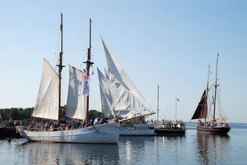 Cabane De Luxe B 28M²