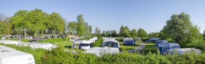 Pitch surrounded by nature