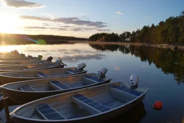 Hedesunda Camping - image n°3 - Camping Direct