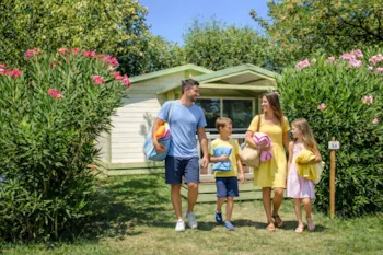 Mietunterkunft - Chalet Bois Avec Terrasse - Camping Le Plan d'Eau Saint Charles