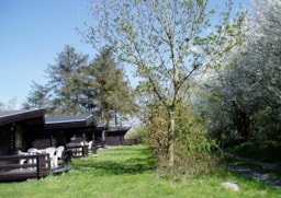 Ristinge Camping - image n°8 - Roulottes