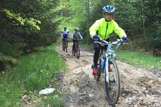 Bryrup Camping - image n°31 - UniversalBooking