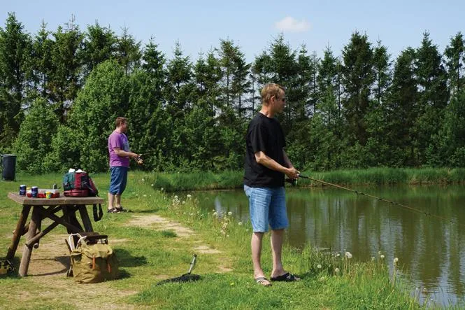 Bryrup Camping - image n°36 - UniversalBooking