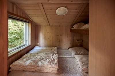 Scandinavia LUX Cabin — 2
