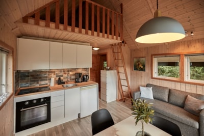 Scandinavia LUX Cabin — 9