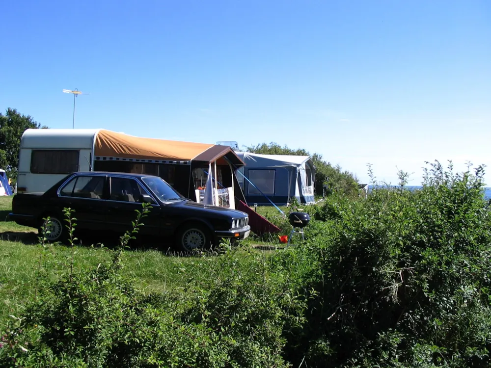 Pitch - Standard Pitch At Blushøj - Blushøj Camping - Ebeltoft