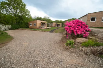 Accommodation - Holiday Home 45M² Elsegårde Camping - Blushøj Camping - Ebeltoft