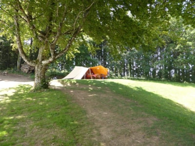 Big Tent De Waard without toilet blocks