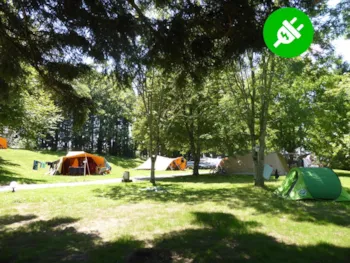 Kampeerplaats(en) - Staanplaats + Elektriciteit - Camping Le Plô