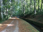 CAMPING DE LA RIGOLE