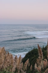 Foto #4 van Wecamp San Sebastián