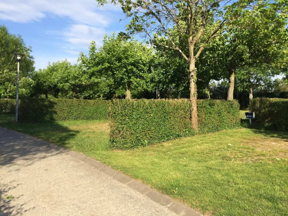 Emplacement - Emplacement Premium (Les Tentes Ne Sont Pas Autorisées) - Wecamp San Sebastián