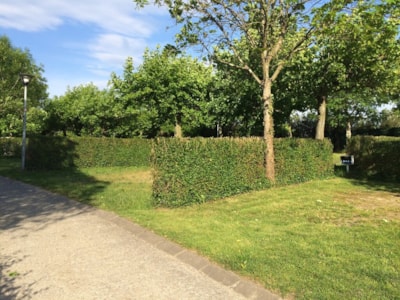 Pitch PREMIUM (no tents allowed) — 1