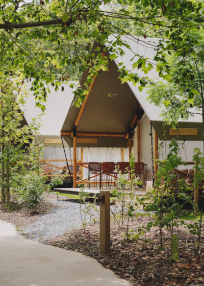 Glamping Comfort — 2