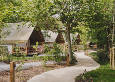 Glamping Family +