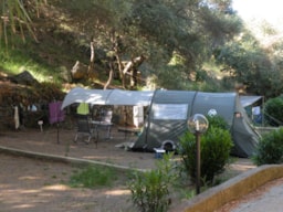Camping L'Esplanade - image n°35 - Roulottes