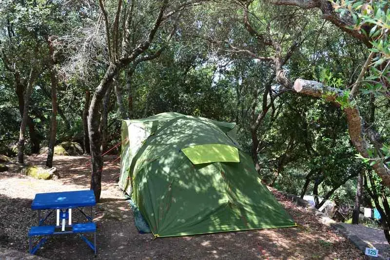 Petit Emplacement 1 Véhicule + 1 Tente + Electricité