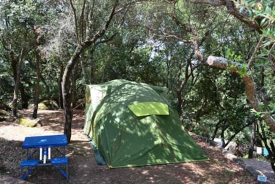 Small Pitch : car + tent + electricity