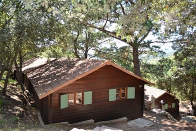 Chalet CLASSIQUE PLUS - 2 bedrooms. 14 chalets (B01 à B14)