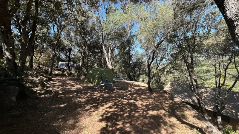 Emplacement Tente + Électricité Comprise : 105 Emplacements 4*