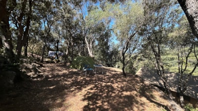 Tent pitch + electricity included: 105 4* pitches