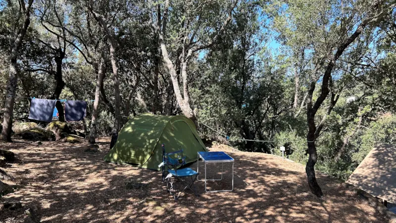 Emplacement Tente + Électricité Comprise : 105 Emplacements 4*