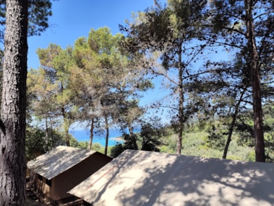 Canvas bungalow VICTORIA - 2 bedrooms. 23 tentes (L01 à L21)