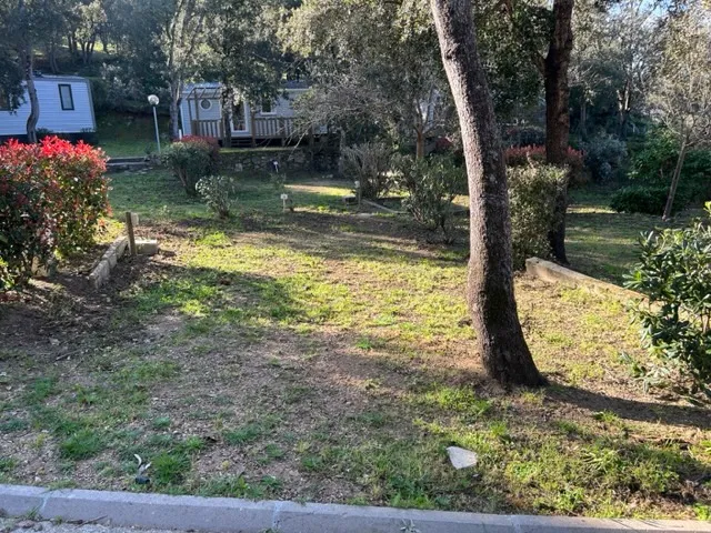 Camping Car / Van / Caravane / Caravane Pliante / Tente De Toît (V01 À V11) - Electricité Comprise