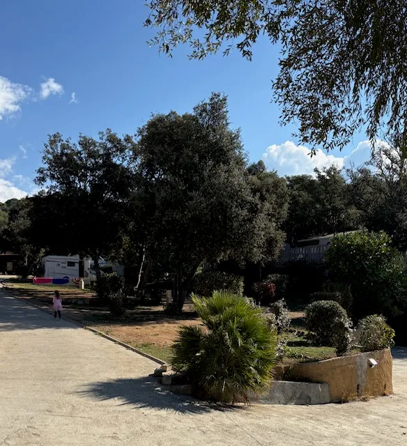 Camping Car / Van / Caravane / Caravane Pliante / Tente De Toît (V01 À V11) - Electricité Comprise