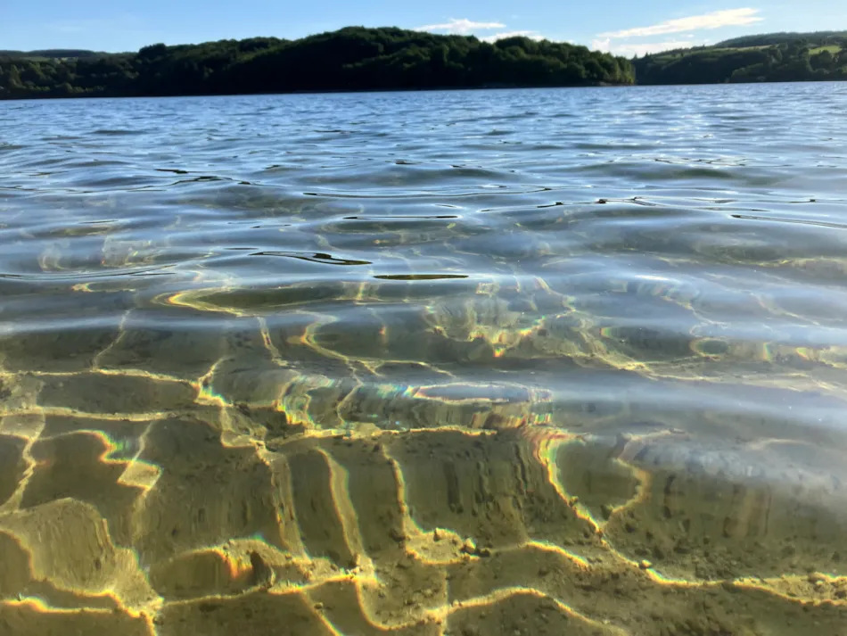 Les Rives du Lac de Laouzas