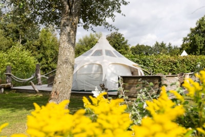 Family Glamping