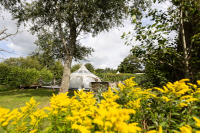 Family Glamping
