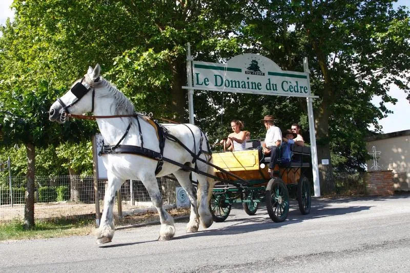 DOMAINE DU CEDRE