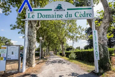 DOMAINE DU CEDRE - image n°3 - Camping Direct