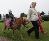 Foto #15 van Camping Løgballe