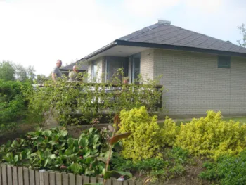 Mietunterkunft - Ferienhaus Mit Dusche Und Wc - Camping Løgballe