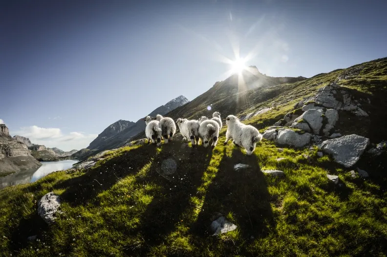 Camping Simplonblick