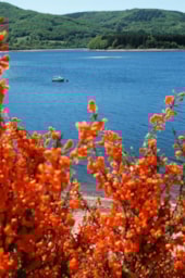 Camping  de Rousieux