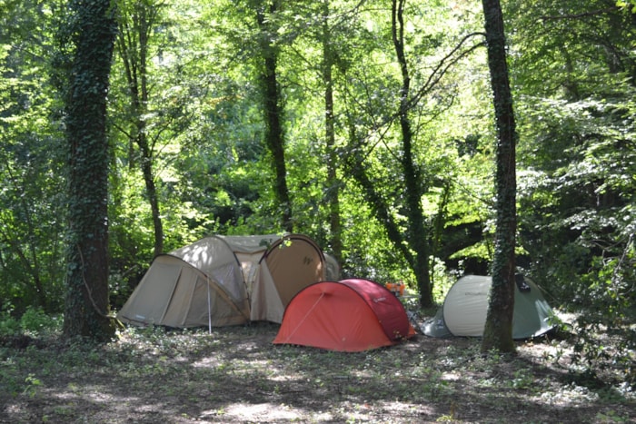Emplacement  Clairière , Dans Une Zone Plus Isolée En Contrebas Du Camping