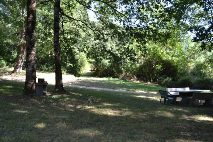 Emplacement  Clairière , Dans Une Zone Plus Isolée En Contrebas Du Camping