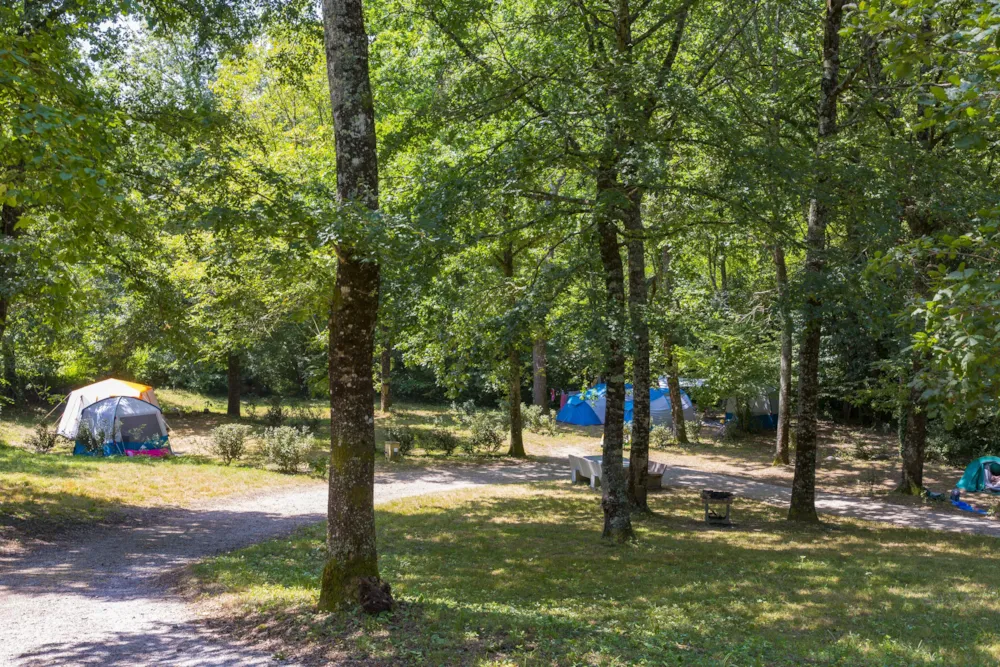 Emplacement - Emplacement  Clairière. Zone Plus Isolée. Pas Accessible Aux Camping-Car Ni Aux Caravanes. - Camping  de Rousieux