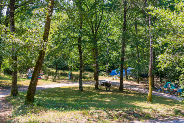 Emplacement  Clairière , Dans Une Zone Plus Isolée En Contrebas Du Camping